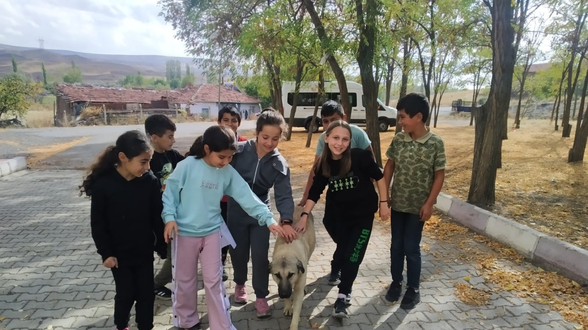 Toplum Hizmet Kapsamında Okul Bahçesi Temizliği Yapıldı ve Sokak Hayvanları Beslendi